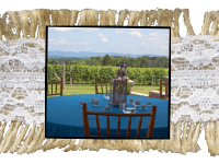 Virginia Mountain Vineyards Weddings